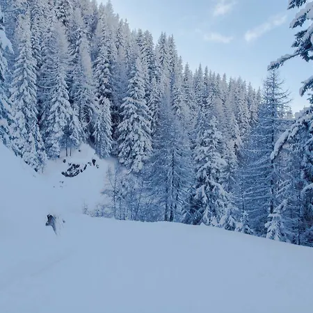 شقة Skilift Rosswald