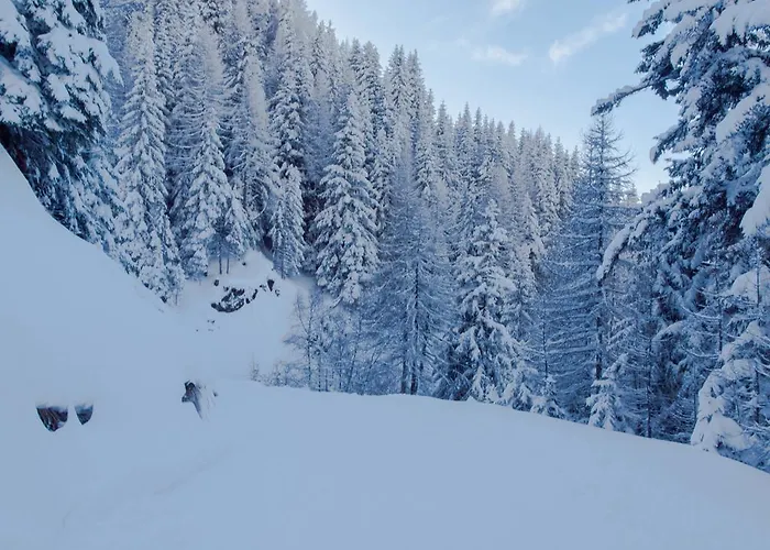 Apartament Skilift Rosswald